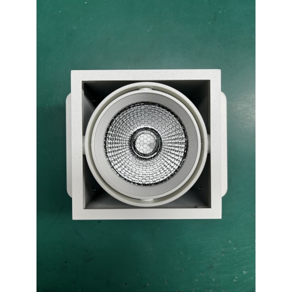Customized Ceiling light